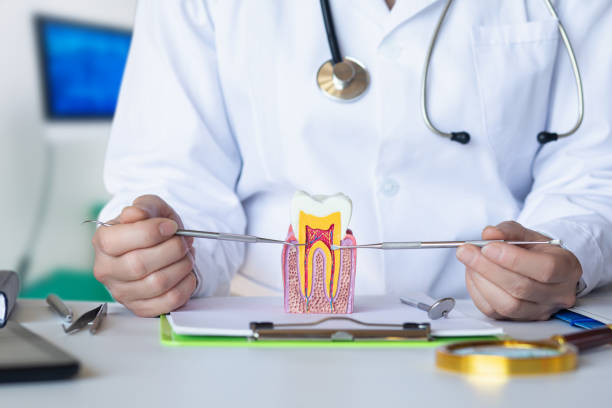 Best Emergency Dentist for Special Needs Patients in Lamar, MO